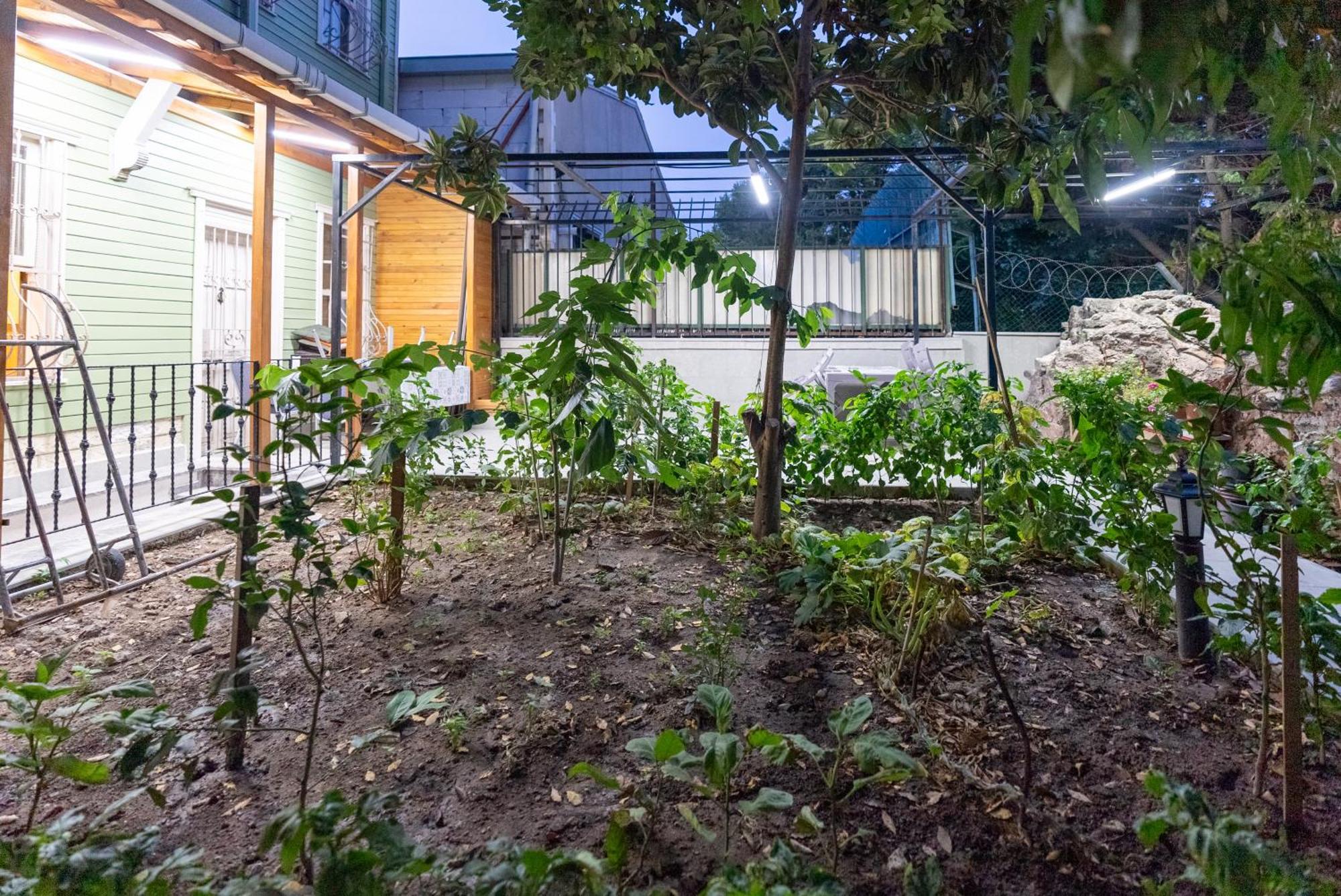 Valens Boutique Hotel İstanbul Dış mekan fotoğraf
