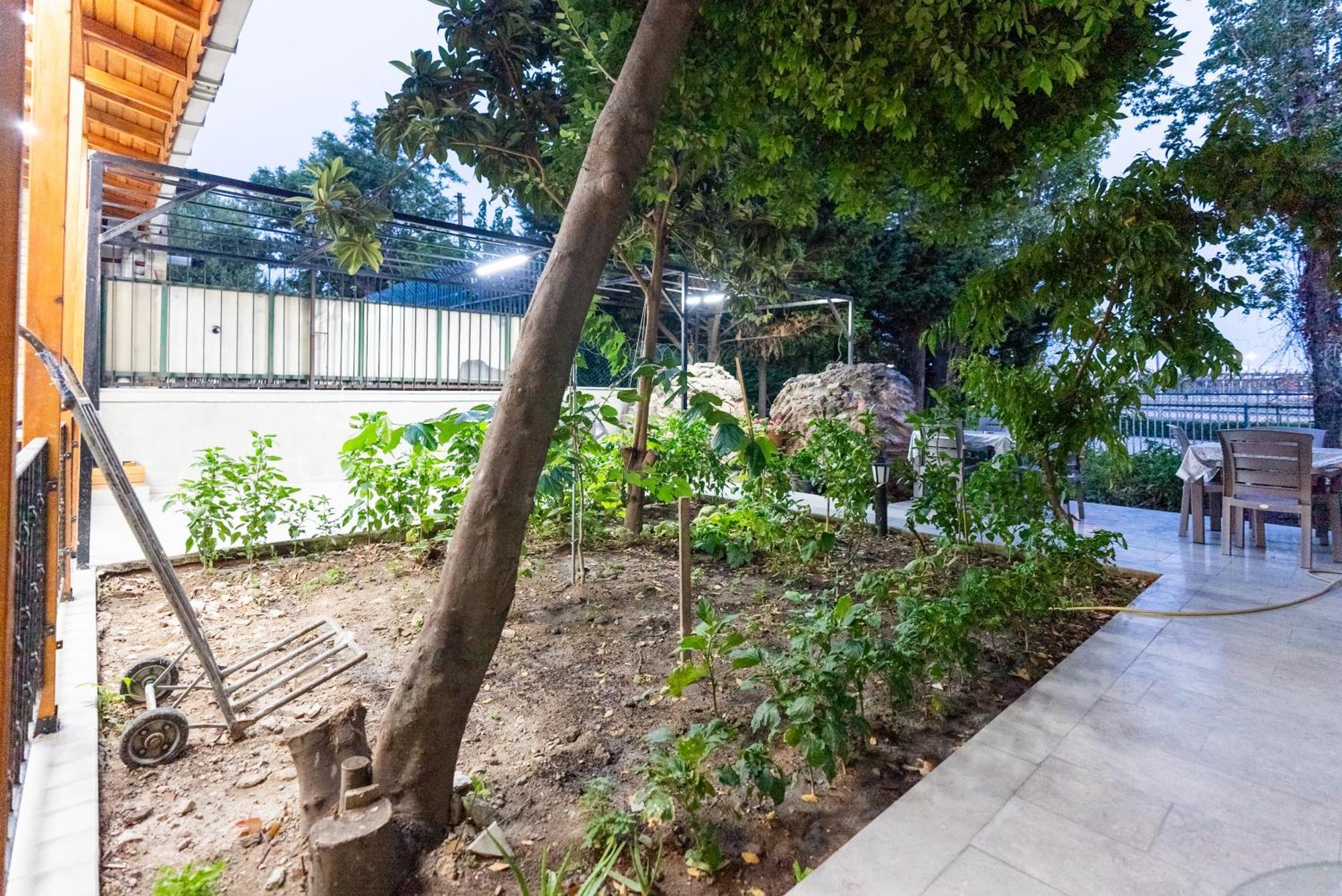 Valens Boutique Hotel İstanbul Dış mekan fotoğraf